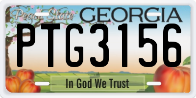 GA license plate PTG3156