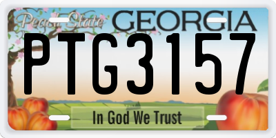 GA license plate PTG3157