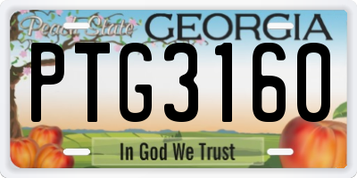 GA license plate PTG3160