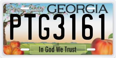 GA license plate PTG3161