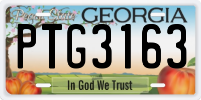GA license plate PTG3163
