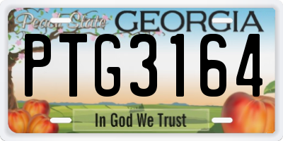 GA license plate PTG3164