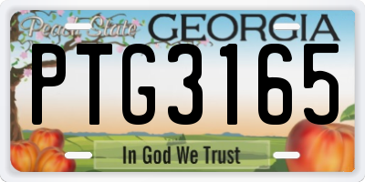 GA license plate PTG3165