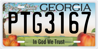 GA license plate PTG3167
