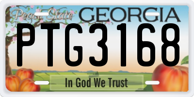 GA license plate PTG3168