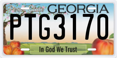 GA license plate PTG3170