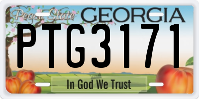 GA license plate PTG3171