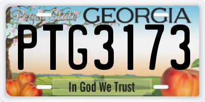 GA license plate PTG3173
