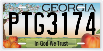 GA license plate PTG3174