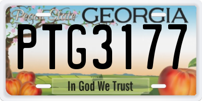 GA license plate PTG3177