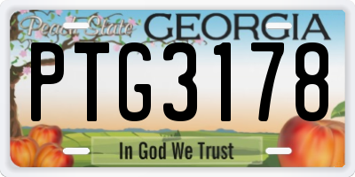 GA license plate PTG3178