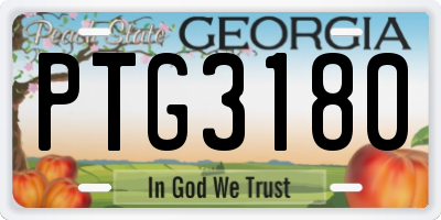 GA license plate PTG3180