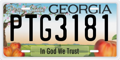 GA license plate PTG3181