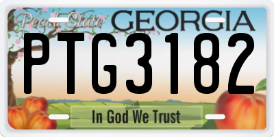 GA license plate PTG3182