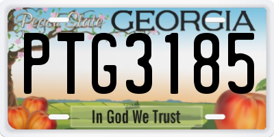 GA license plate PTG3185