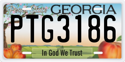 GA license plate PTG3186