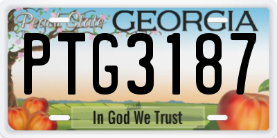 GA license plate PTG3187