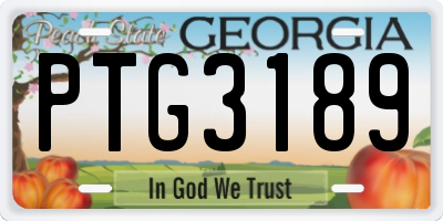 GA license plate PTG3189