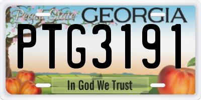 GA license plate PTG3191