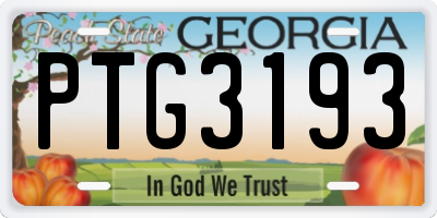 GA license plate PTG3193