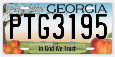 GA license plate PTG3195