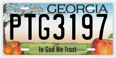 GA license plate PTG3197