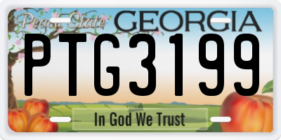 GA license plate PTG3199