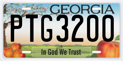 GA license plate PTG3200