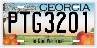 GA license plate PTG3201
