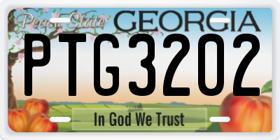 GA license plate PTG3202