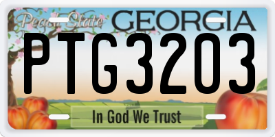 GA license plate PTG3203