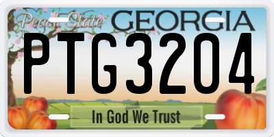 GA license plate PTG3204