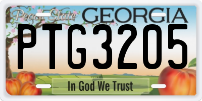 GA license plate PTG3205