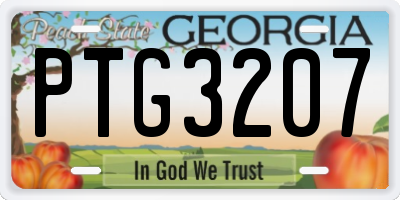 GA license plate PTG3207