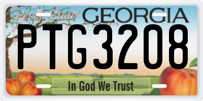 GA license plate PTG3208