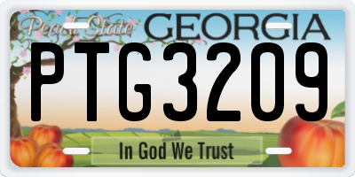 GA license plate PTG3209