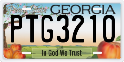 GA license plate PTG3210