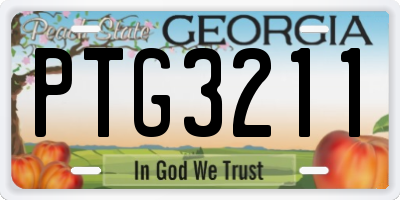 GA license plate PTG3211