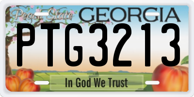 GA license plate PTG3213