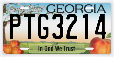 GA license plate PTG3214