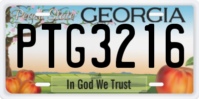 GA license plate PTG3216
