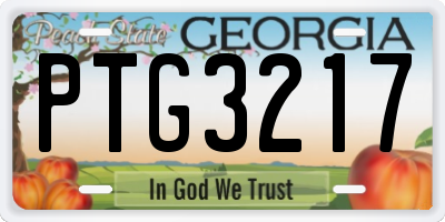 GA license plate PTG3217