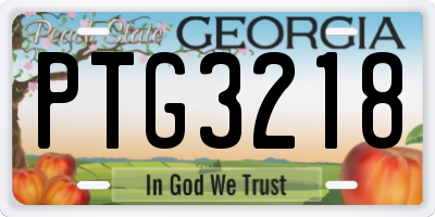 GA license plate PTG3218