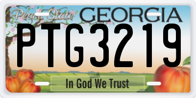 GA license plate PTG3219