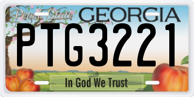 GA license plate PTG3221