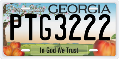 GA license plate PTG3222