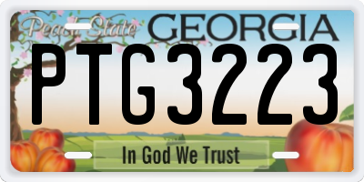 GA license plate PTG3223
