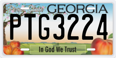 GA license plate PTG3224