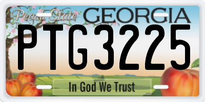 GA license plate PTG3225