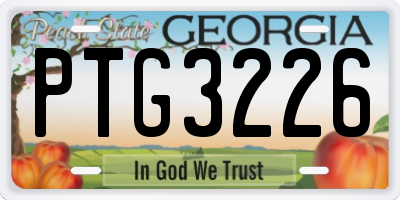 GA license plate PTG3226